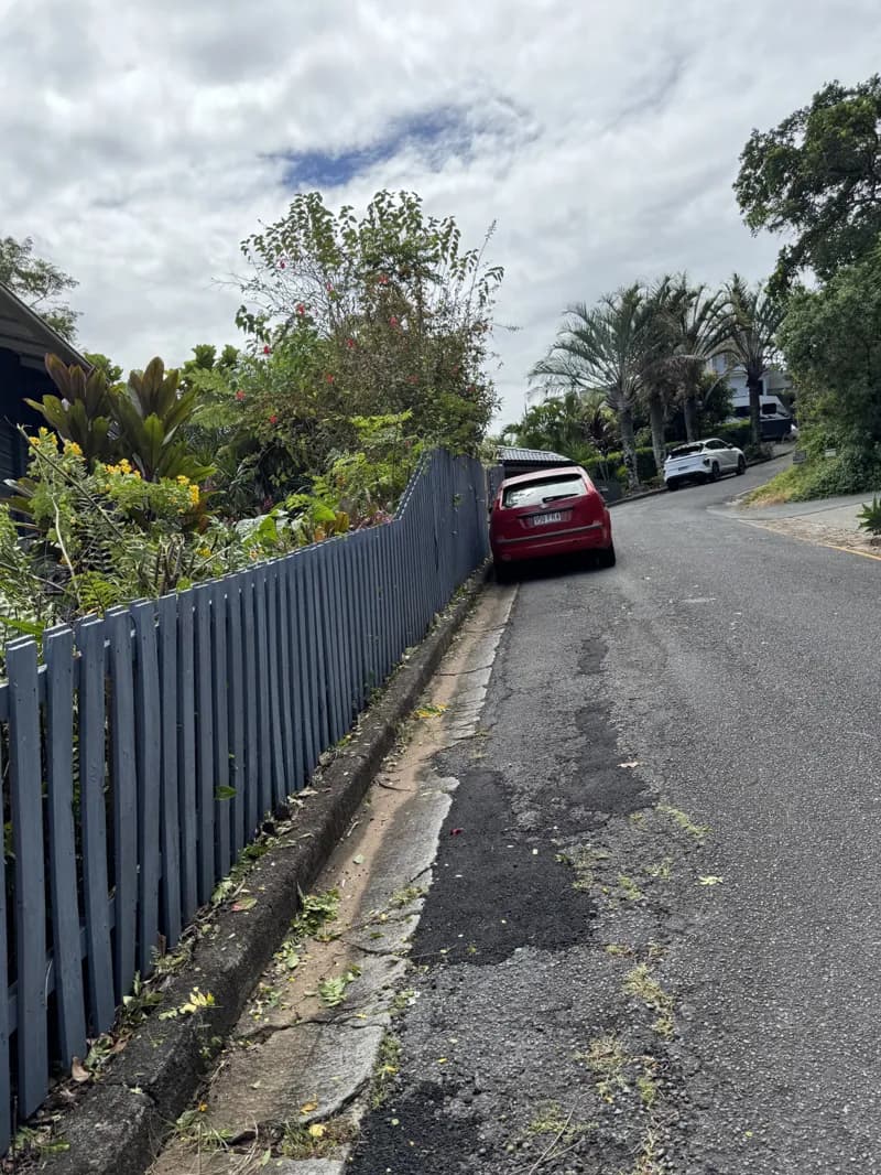 Fence line tidy, after