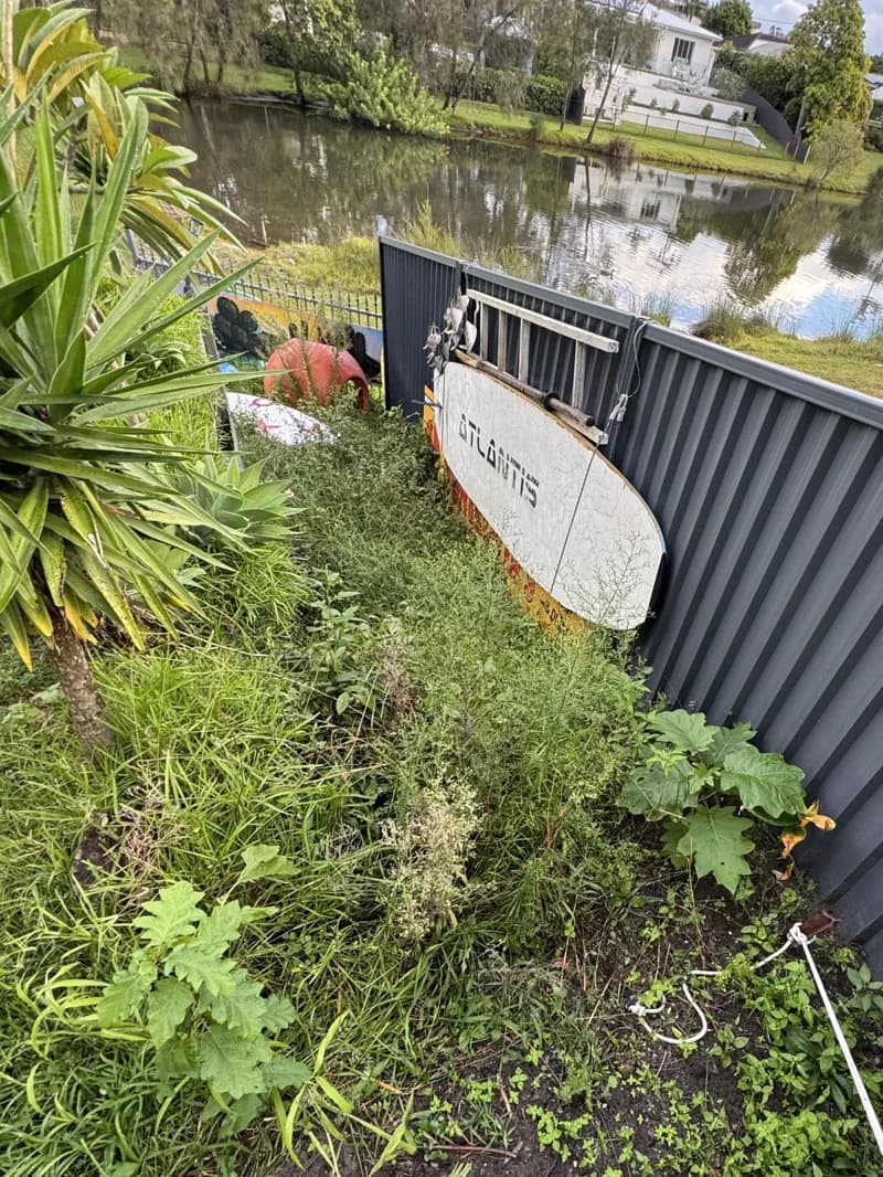 Garden clean-up, before