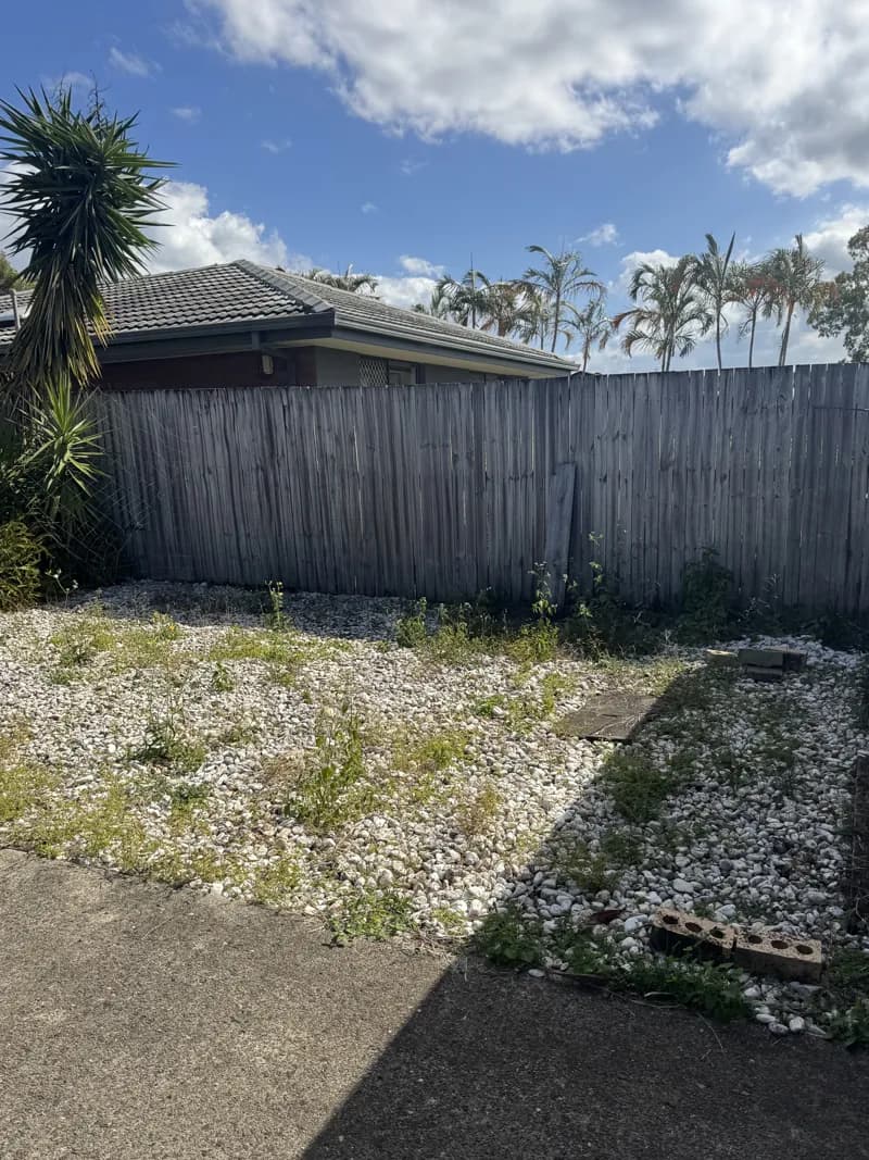 Weeding, before